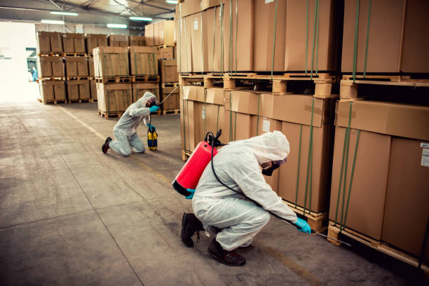 Best Pest Removal Services  in Jackson, OH
