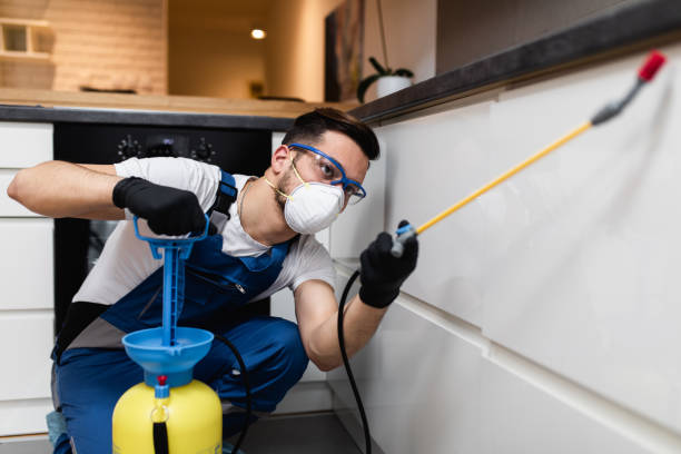 Pest Control Cost in Jackson, OH