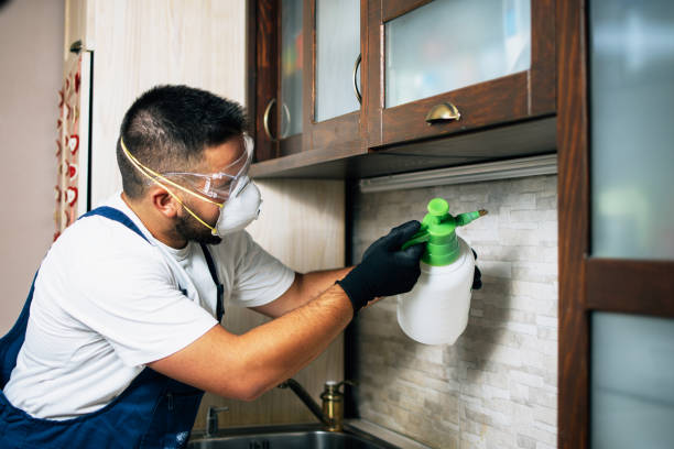 Best Pest Prevention Services  in Jackson, OH