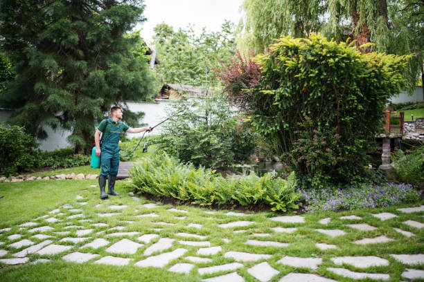 Best Mosquito Control Services  in Jackson, OH