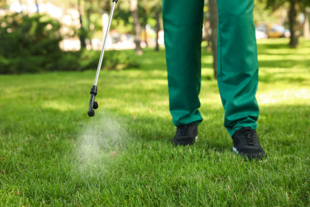 Reliable Jackson, OH Pest Control Solutions