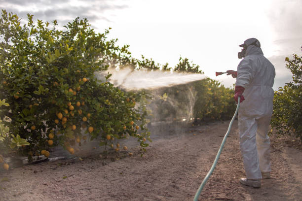 Best Ant Control Services  in Jackson, OH