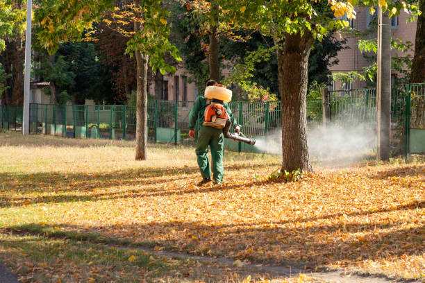 Best Pest Prevention Services  in Jackson, OH