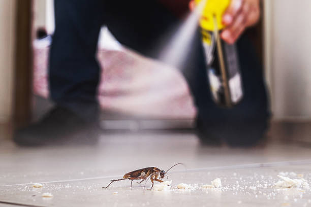 Best Pest Control Near Me  in Jackson, OH
