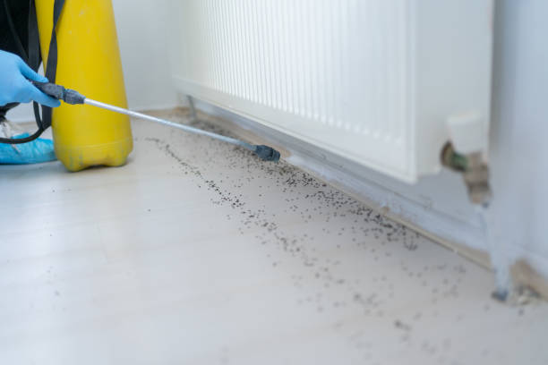 Best Affordable Pest Control Services  in Jackson, OH
